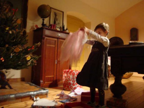 stedryden2008- kostym baletky.jpg