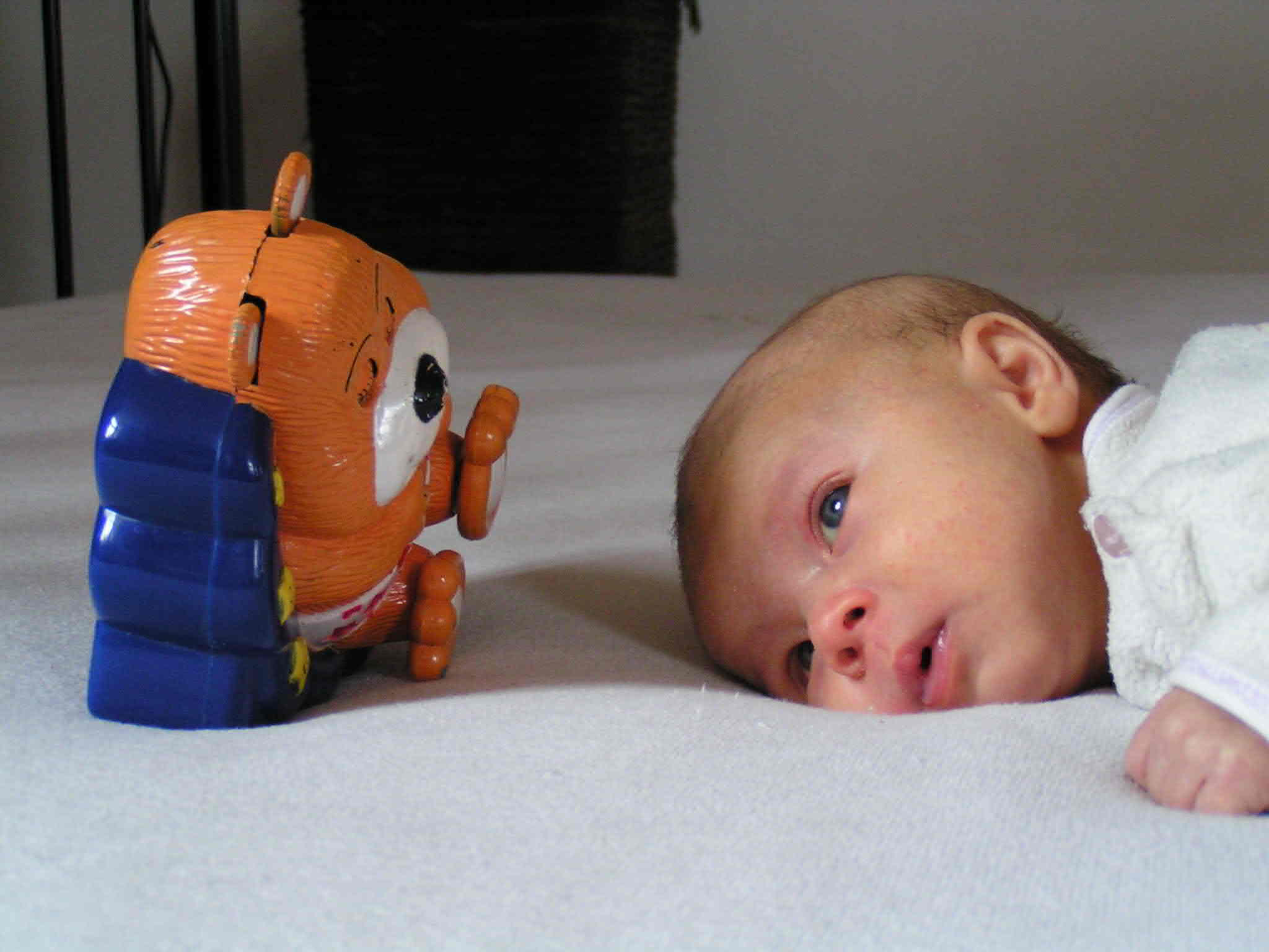 Sofa and Bear_web.JPG