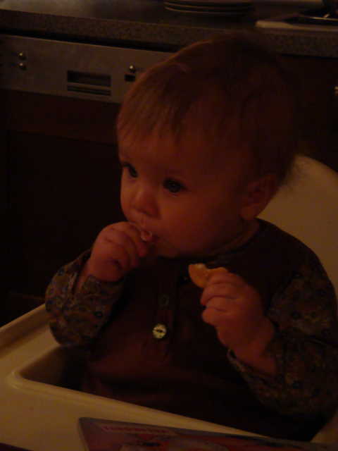 stedryden2008- vecere.jpg